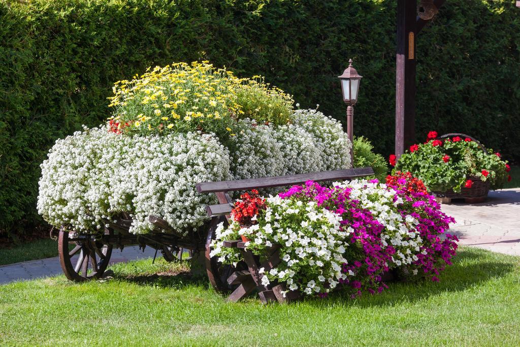 Vila Aleksandra Zlatibor Esterno foto